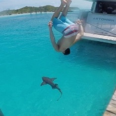 Person jumping off of boat into water with a shark